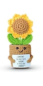Mini Sunflower Crochet Gift with Card for Women Best Friend, Soul Sister, Long Distance Pal, Friends Are the Family You Choose, Cute Decor for Birthday, Christmas for Bestie, BFF, Coworker