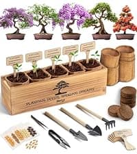 Bonsai Tree Kit for Beginners – 5X Unique Japanese Bonzai Trees | Complete Indoor Starter Kit for Growing Bonsai Plants with Tools & Planters – Gardening Gifts for Women & Men