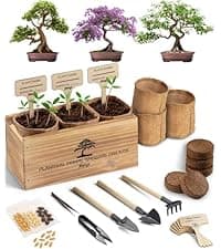Bonsai Tree Kit for Beginners – 5X Unique Japanese Bonzai Trees | Complete Indoor Starter Kit for Growing Bonsai Plants with Tools & Planters – Gardening Gifts for Women & Men