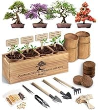 Bonsai Tree Kit for Beginners – 5X Unique Japanese Bonzai Trees | Complete Indoor Starter Kit for Growing Bonsai Plants with Tools & Planters – Gardening Gifts for Women & Men