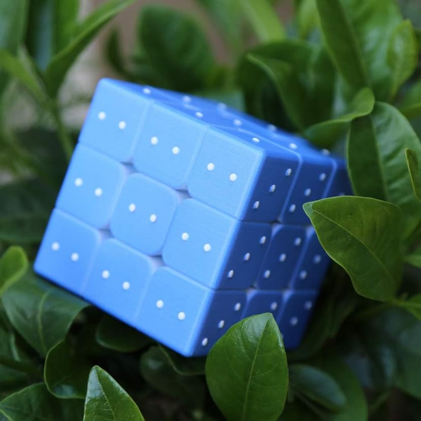 Speed Cube 3x3x3 3D Relief Effect Braille Magic Cube Puzzle,IQ Games Puzzles Special for Blind, 5.6cm