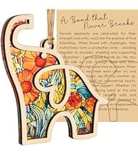 Gifts for Women, Friendship Elephant Ornament with Story Card, Friendship Birthday Gifts for Women, Birthday Presents for Best Friends Sisters Special Bond Decor, Suncatcher
