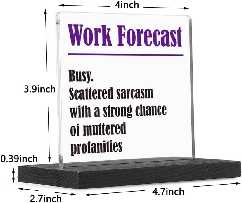 THRXOBN Cute Desk Decor for Coworker, Funny Profanity Gift for Work Colleague, Employee, Joke Birthday Office Gift for Coworker,Transparent Acrylic Desk Decoration, WYZ1