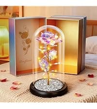 Childom Birthday Gifts for Women,Flowers for Delivery Prime,Colorful Rainbow Light Up Rose in A Glass Dome,Christmas Rose Gifts for Her Mom Women Wife Girl Grandma on Christmas Anniversary Valentines