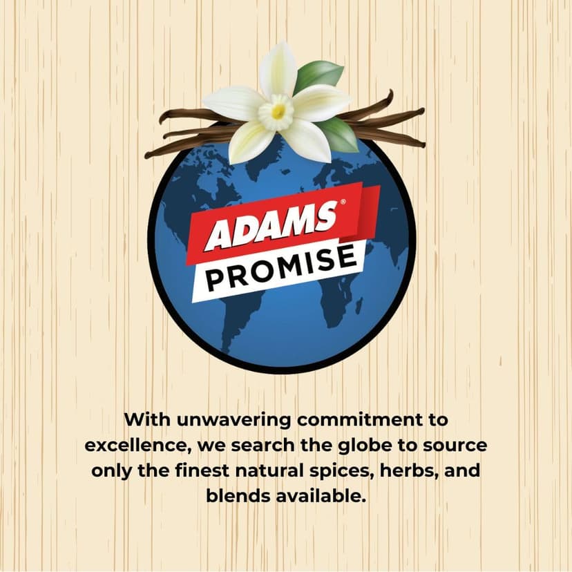 Adams Texas Style Smoked Brisket Low N’ Slow Rub, 9.89 Ounce Bottle (Pack of 1)