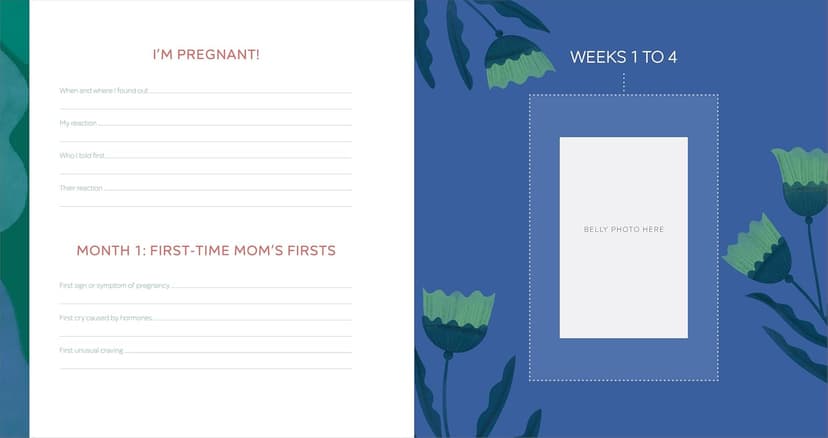 The First-Time Mom's Pregnancy Journal: Monthly Checklists, Activities, & Journal Prompts
