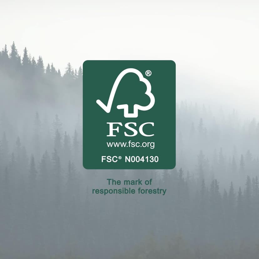 Amazon Basics Wooden Shape Sorter and Rainbow Stacker Classic Baby Toy Set-Sorting Play For Infants Age 12M+, Medium, Multicolor