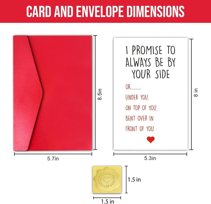 Funny Anniversary Card for Boyfriend Husband, I Promise to Always Be By Your Side Card, Hilarious Gift for First Second Third Year Anniversary (Top or Under)