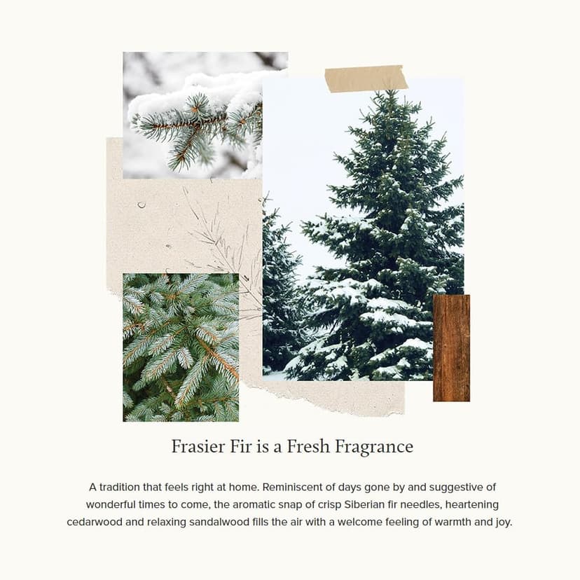 Thymes Frasier Fir Pine Needle Candle – Holiday Candles for Home Scented with Notes of Crisp Siberian Fir, Cedarwood & Sandalwood – Christmas Decor – Christmas Gifts for Women & Men (2 oz)