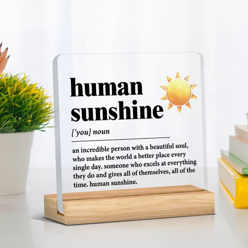 Human Sunshine Motivational Gift for Women Men, Employee Appreciation, Coworker Leader Teacher Coach Mentor, Definition Acrylic Desk Sign Decor