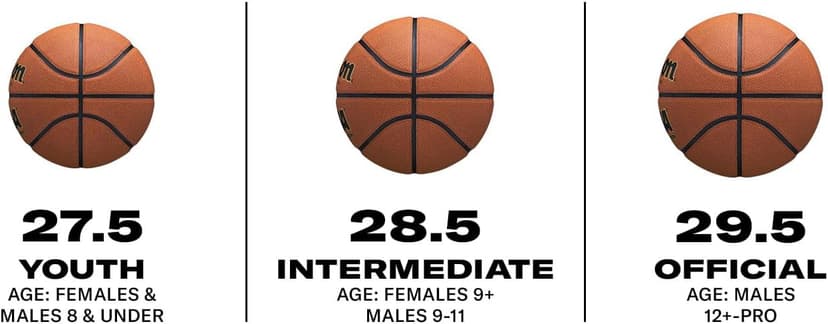 Wilson NCAA Street Shot Basketballs - 29.5", 28.5", 27.5"