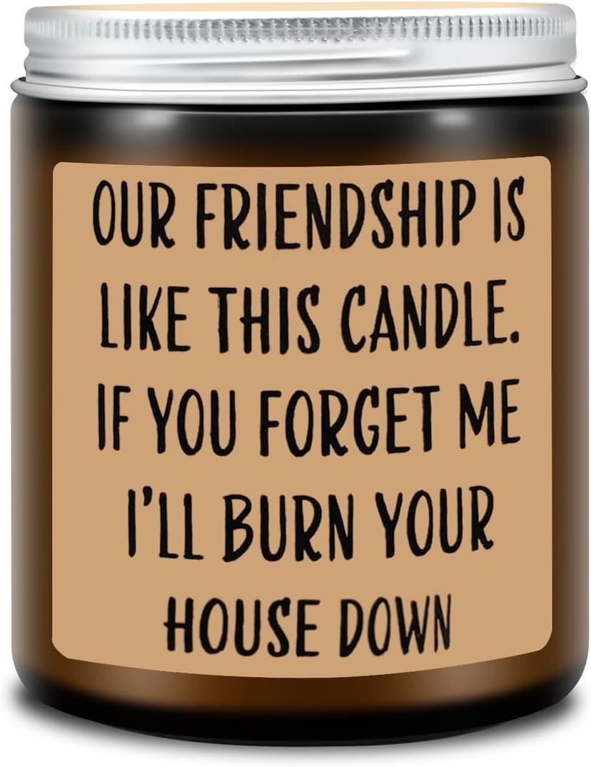 Homsolver Friends Birthday Christmas Gifts for Women, Friend Funny Scented Soy Candles Gift, Our Friendship Candle Premium Lavender Scent