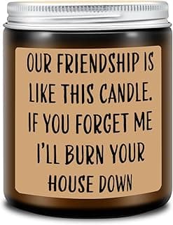 Homsolver Friends Birthday Christmas Gifts for Women, Friend Funny Scented Soy Candles Gift, Our Friendship Candle Premium Lavender Scent