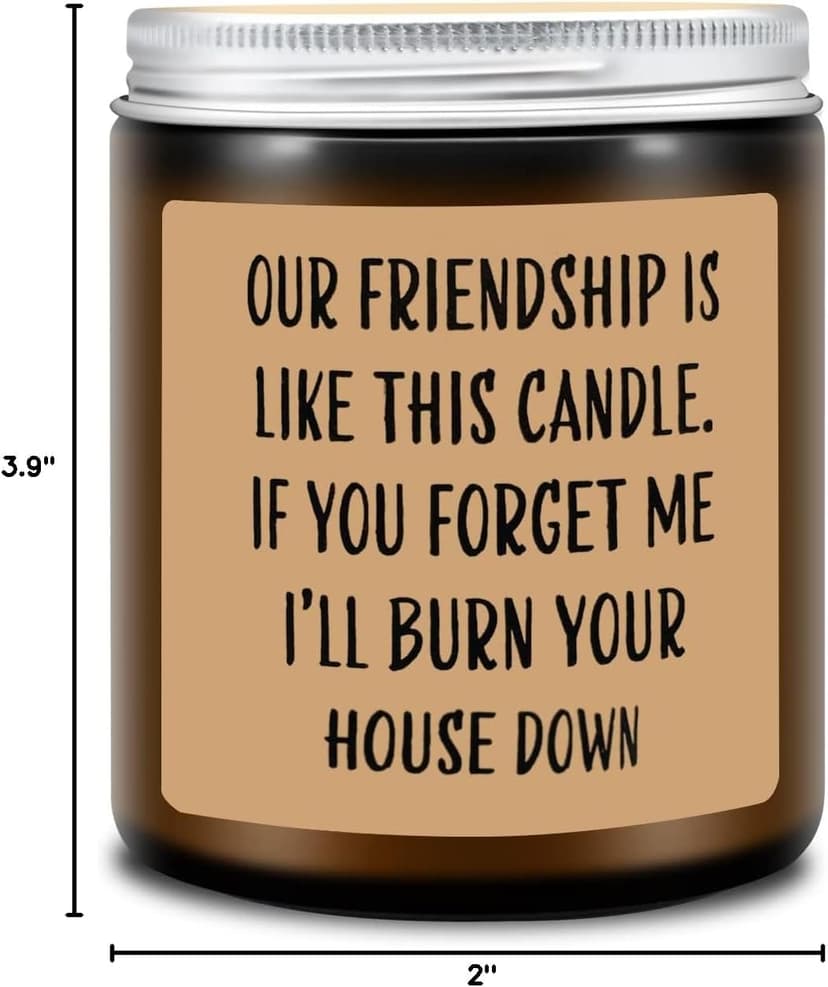 Homsolver Friends Birthday Christmas Gifts for Women, Friend Funny Scented Soy Candles Gift, Our Friendship Candle Premium Lavender Scent