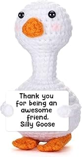 Mini Goose Best Friend Birthday Gifts for Women Men, Friendship Gifts for Her College Teen Girls, Thanksgiving Christmas Bestie BFF Long Distance Gift, Handmade Crochet Animals Funny Desk Silly Goose