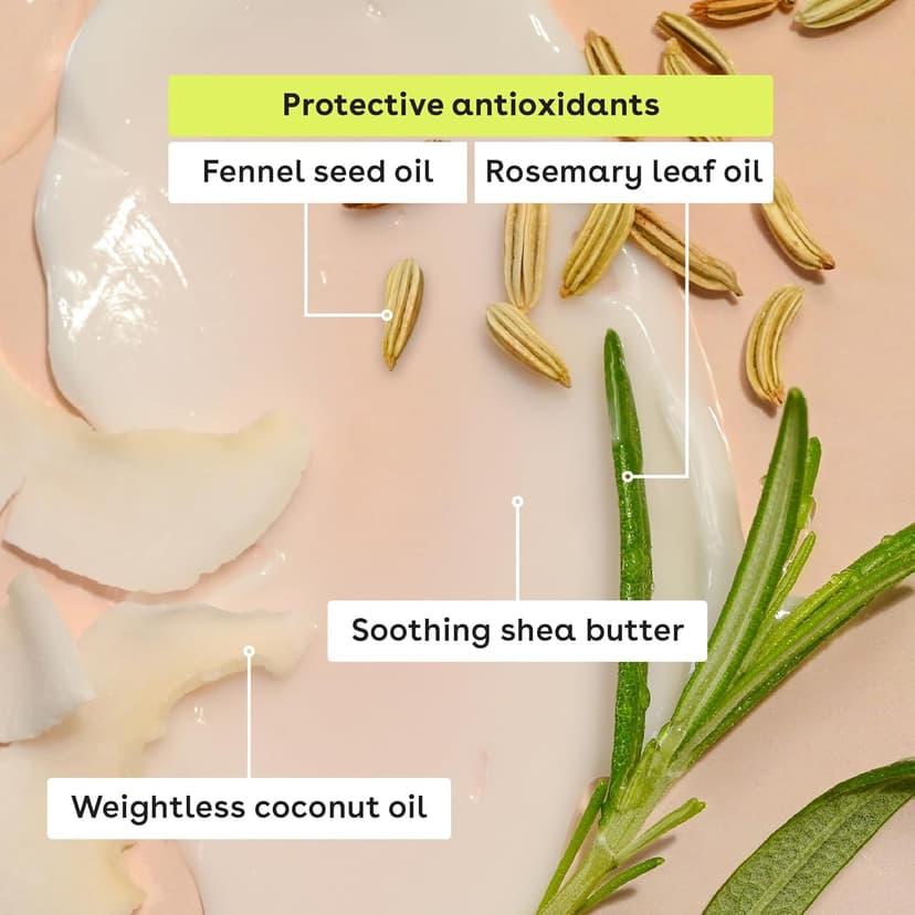 eos Natural Shea Lip Balm- Birthday Cake, All-Day Moisture Lip Care Products, 0.14 oz