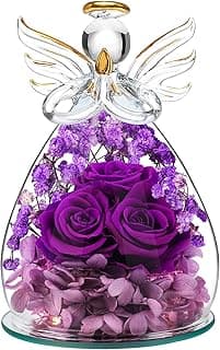 Beferr Birthday Gifts for Women Mom Fresh Flowers for Delivery Prime Forever Preserved Rose in Glass Angel Figurine for Grandma Sister Daughter Wife