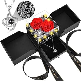 2 Preserved Rose Gift for Women - Eternal Rose with I Love You Necklace - Romantic Birthday Gifts for Girlfriend Mom Her Wife Grandma on Valentines Mothers Day Anniversary Christmas-Red