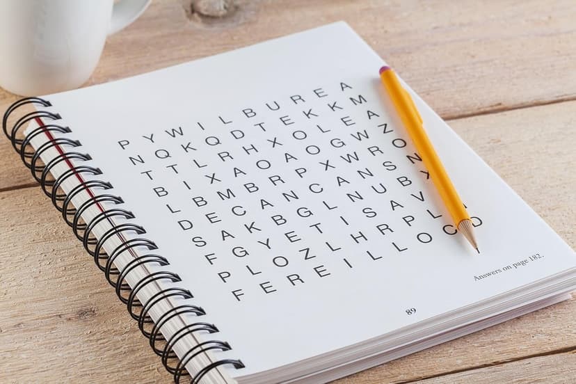 Brain Games - Word Searches - Large Print (Red) (Brain Games Large Print)