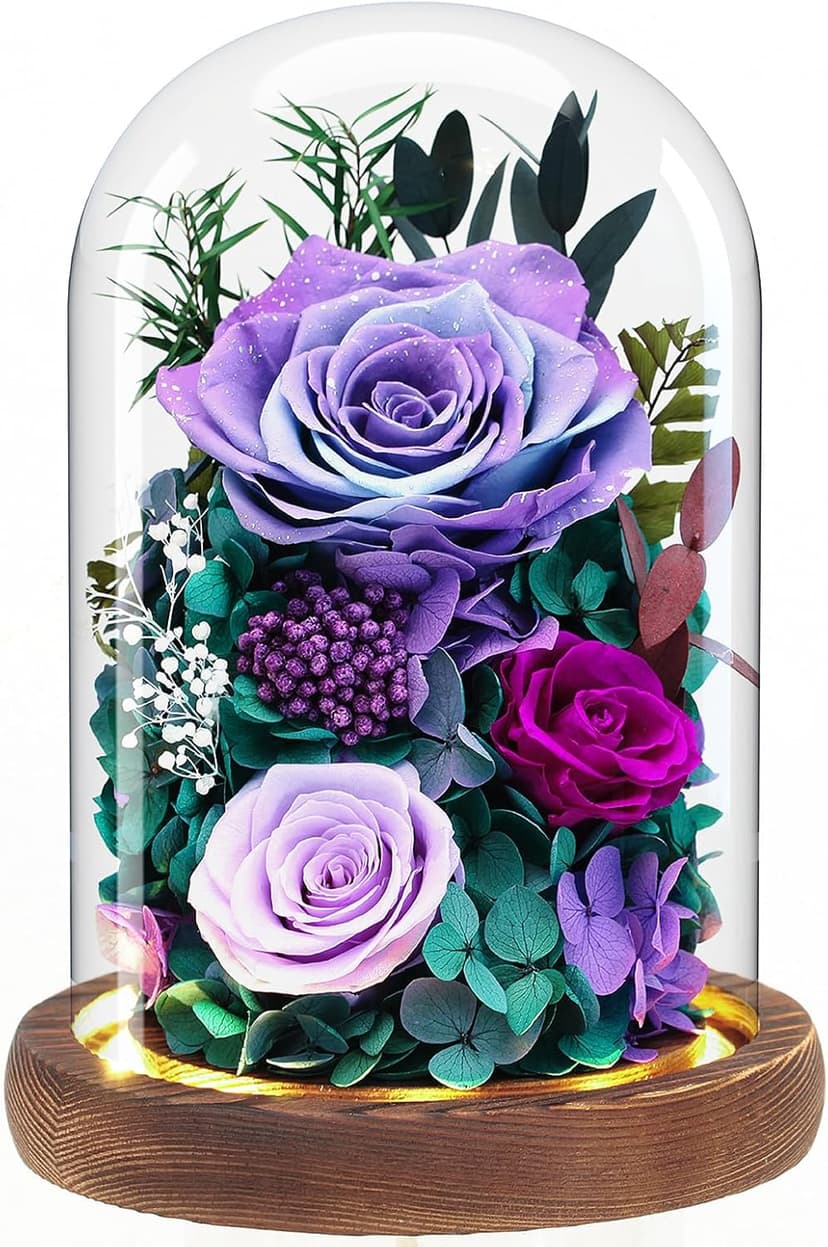 Dsuto Forever Fresh Flowers Bouquet in Glass Dome with Light, Preserved Purple Roses Gifts for Women on Birthdays, Anniversaries, Christmas, Valentine’s Day & Mother’s Day