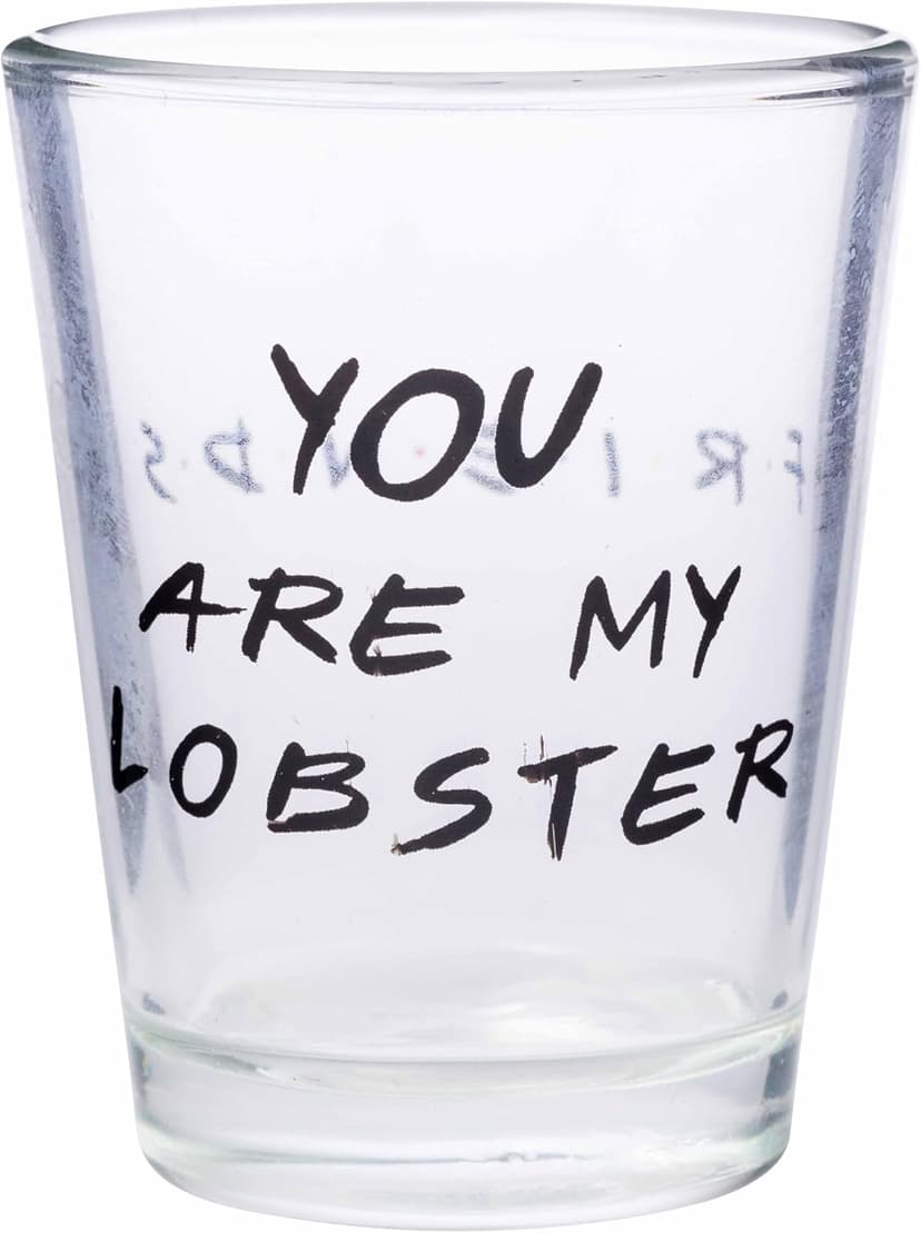 Silver Buffalo Friends Iconic Quotes "You're My Lobster," "How You Doin'" "Pivot," and "We Were On A Break!" 4 Pack Mini Glasses, 1.5 Ounces