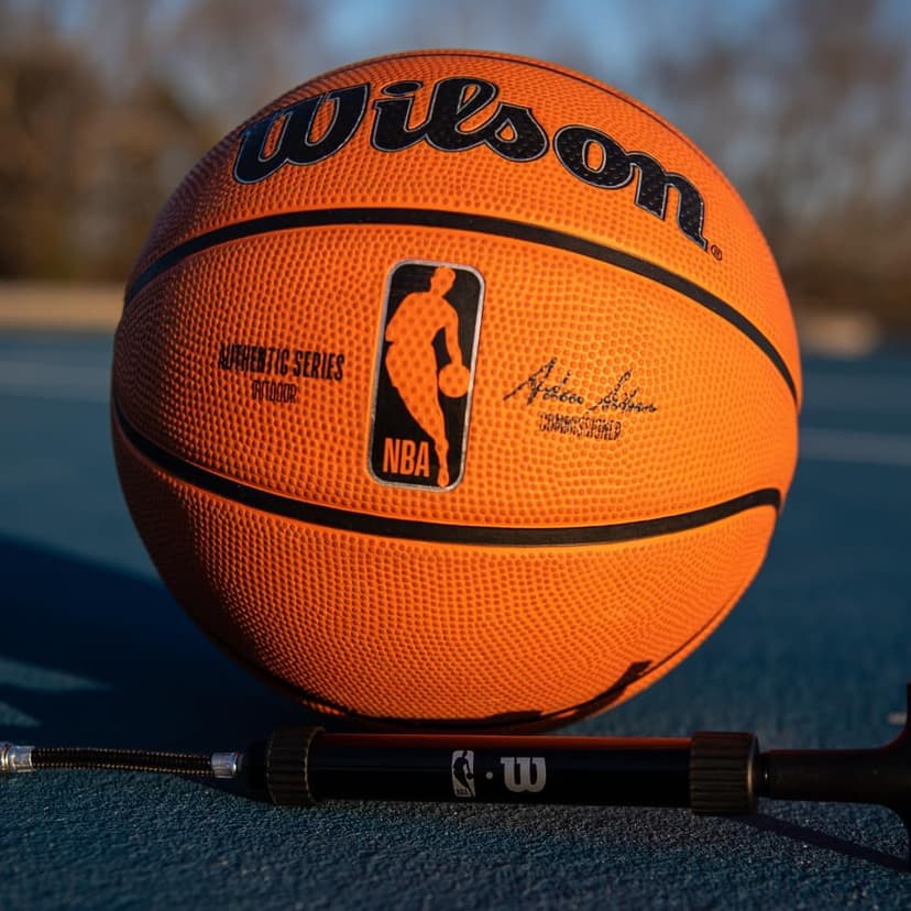 WILSON NBA Authentic Series Outdoor Basketballs