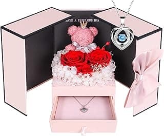 ADDWel Preserved Rose Gifts for Her, Forever Real Flowers with Sterling Silver Necklace for Wife Girlfriend Mom on Birthday Anniversary