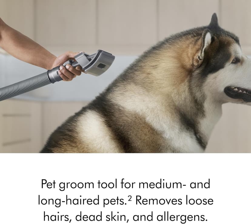 Dyson Ball Animal 3 Extra Upright Vacuum, Corded, 290AW, De-tangling Motorbar Cleaner Head for All Floors, 3 Suction Modes, Specialized pet Tools