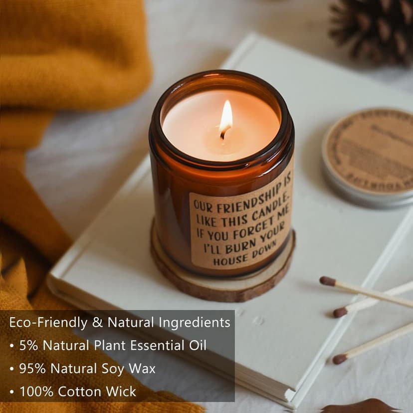 Homsolver Friends Birthday Christmas Gifts for Women, Friend Funny Scented Soy Candles Gift, Our Friendship Candle Premium Lavender Scent