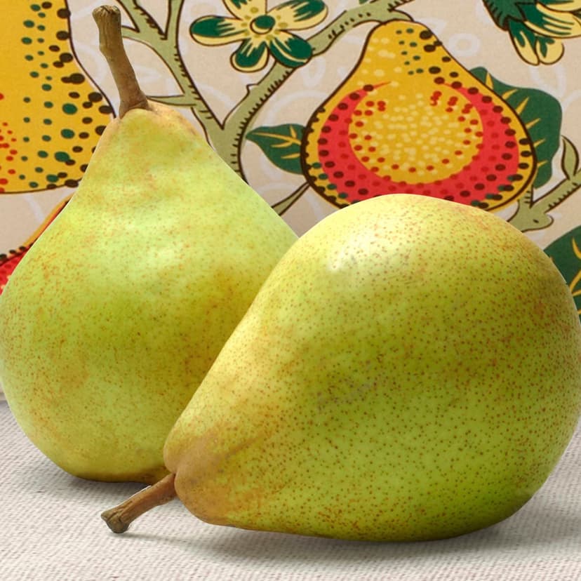 Happy Birthday Orchard Delight Fruit and Gourmet Gift Basket