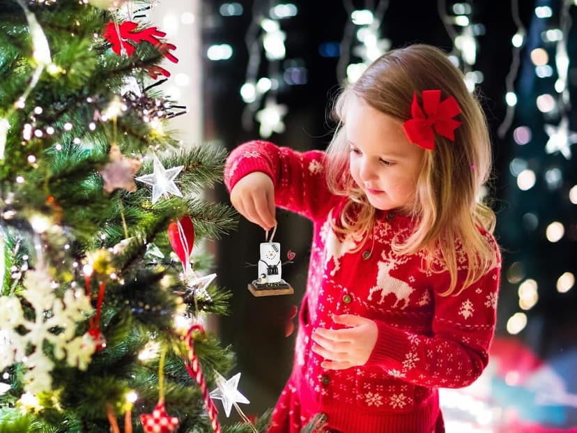 2025 Smores Ornament, Birdwatcher Gifts, Cardinal Christmas Ornaments, Bird Ornament, Includes Hangtag w Year, Comes in Gift Box