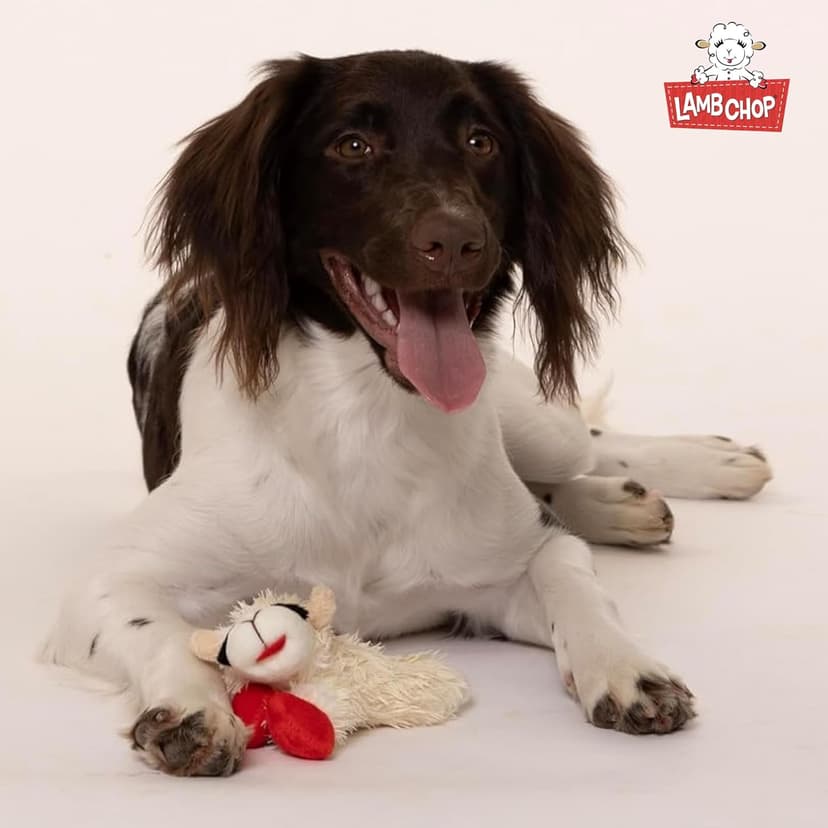 Multipet Lamb Chop Dog Plush Toy - Squeaky Toy for All Dogs - Extra Soft Plush - Stuffed Animal Dog Toy for Cuddling & Playing - Cute Pet Toy (6", Cream)