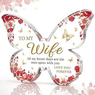 Romantic Wife Anniversary Birthday Gift Ideas, 5x3.8x0.5 Inch Butterfly Acrylic Plaque Decor, Mothers Day Valentines Christmas Wedding Present for Wife