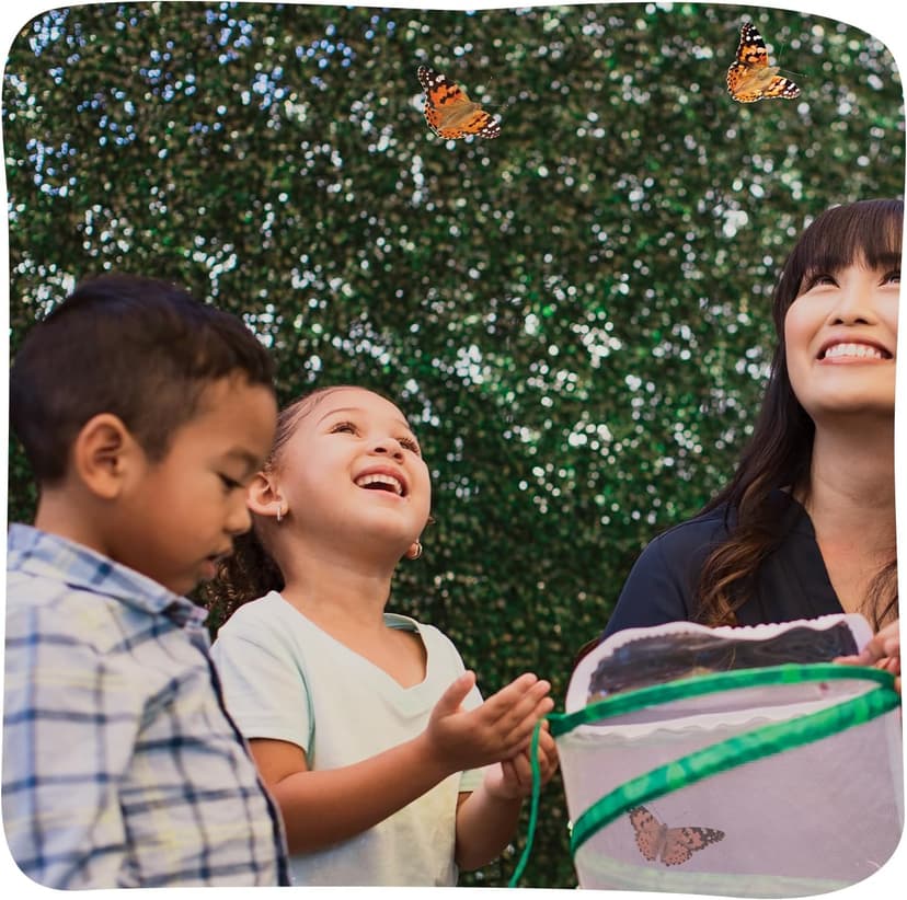 Insect Lore Butterfly Garden Kit – 10 Live Caterpillars, Habitat, STEM Journal, 2 Chrys-a-lid Holding Logs & Feeder – Grow & Release Painted Lady Butterflies – Educational Science Toy