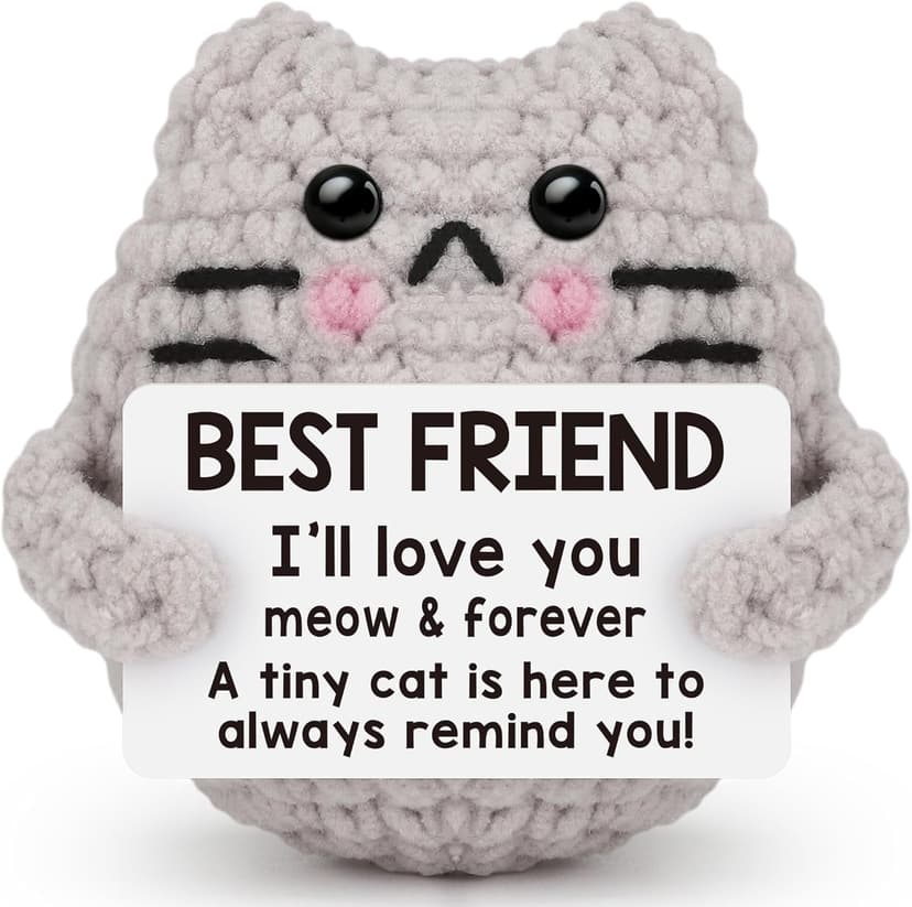 Best Friend Friendship Gifts for Women Men, Birthday Gifts for Friends Female Male Girls,Back to School Friend Desk Home Fall Decor Christmas Stocking Stuffers