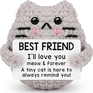 Best Friend Friendship Gifts for Women Men, Birthday Gifts for Friends Female Male Girls,Back to School Friend Desk Home Fall Decor Christmas Stocking Stuffers