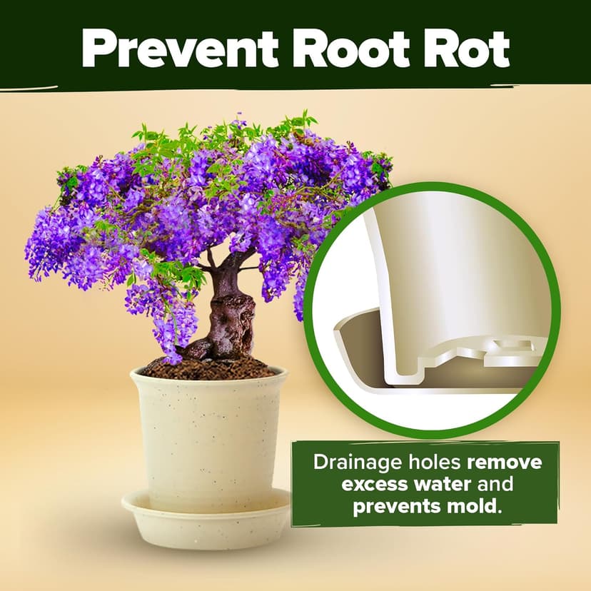 Bonsai Tree Kit - Gifts for Men & Women - Grow 4 Bonsai Trees - Unique Gardening Crafts for Adults, DIY Hobbies for Plant Lovers & Gardeners - Unusual Christmas Gift Ideas for Mom & Dad