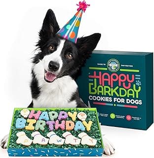 Dog Birthday Cookies - Treats for Dogs at Any Age - Made With Human-Grade Ingredients - Happy Bday Cookies for Boy or Girl Puppy - First Bday Gift - Baked Fresh in USA