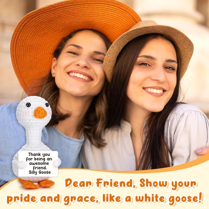 Mini Goose Best Friend Birthday Gifts for Women Men, Friendship Gifts for Her College Teen Girls, Thanksgiving Christmas Bestie BFF Long Distance Gift, Handmade Crochet Animals Funny Desk Silly Goose