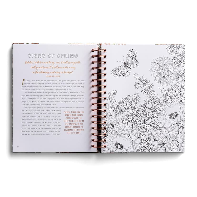 Set Your Mind on Things Above: Devotional Coloring Book