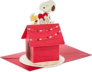 Hallmark Paper Wonder Peanuts Pop Up Valentines Day Card (Snoopy and Woodstock)