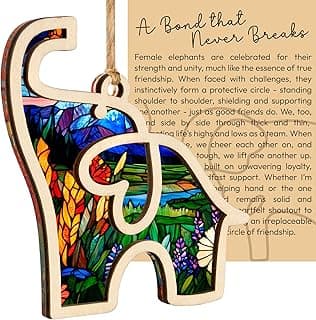 Gifts for Women, Friendship Elephant Ornament with Story Card, Friendship Birthday Gifts for Women, Birthday Presents for Best Friends Sisters Special Bond Decor, Suncatcher