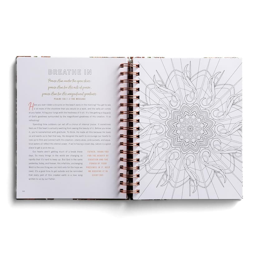 Set Your Mind on Things Above: Devotional Coloring Book