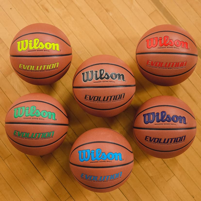 WILSON Evolution Indoor Game Basketballs - Size 5, Size 6 and Size 7