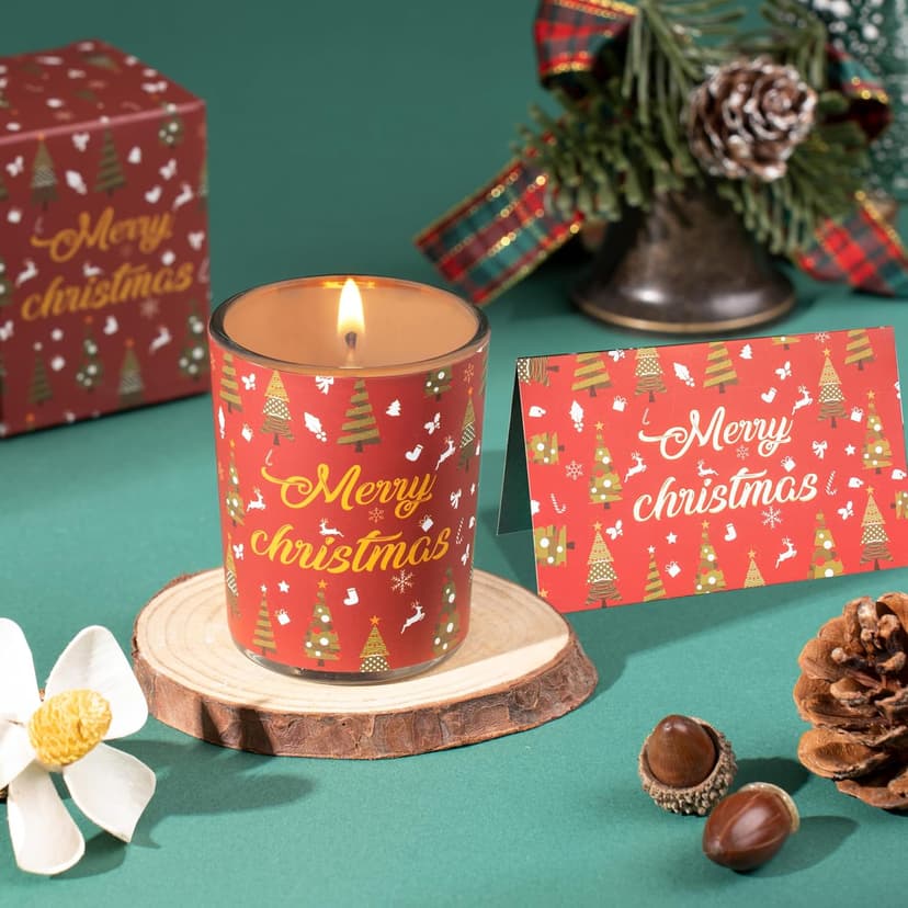 Womens Gifts for Christmas Mom Grandma Sister Wife Girlfriend Teacher Coworker Unique Christmas Gifts Basket Christmas Presents xmas Gift for Women