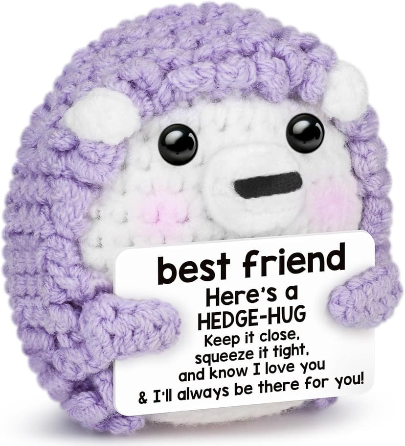 Best Friend Birthday Gifts for Women, Christmas Decorations for Bestie BFF Sister, Friendship Gifts for Women Friends Her Him Female Male Boys Girls, Funny Handmade Crochet Hedgehog Stocking Stuffers