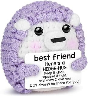 Best Friend Birthday Gifts for Women, Christmas Decorations for Bestie BFF Sister, Friendship Gifts for Women Friends Her Him Female Male Boys Girls, Funny Handmade Crochet Hedgehog Stocking Stuffers