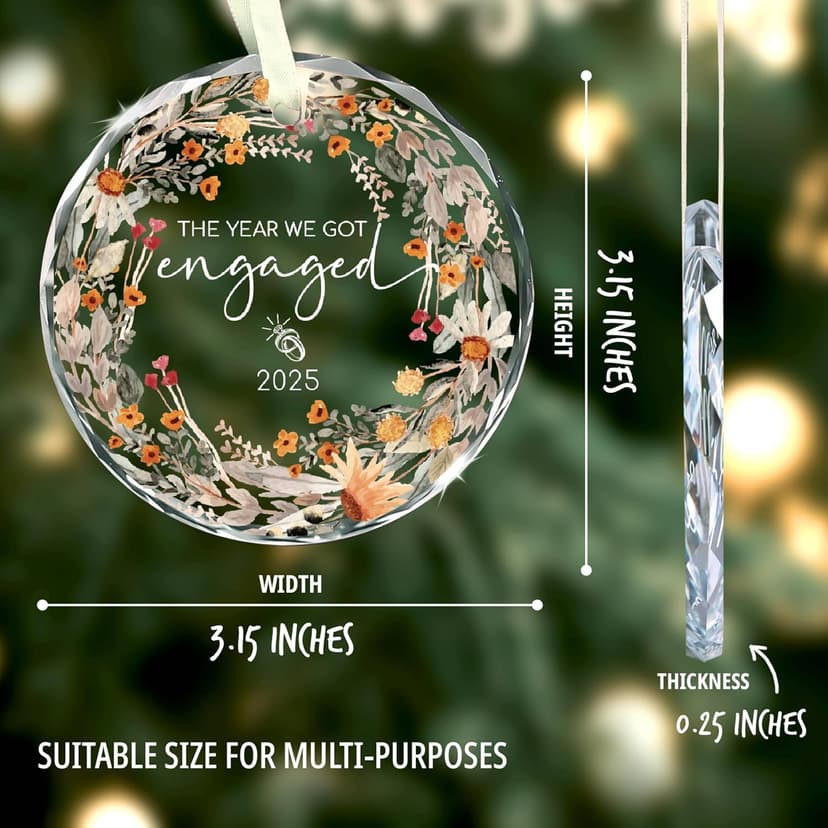 Engagement Gifts for Couples - The Year We Got Engaged 2025 Glass Ornament – Just Engagement Present Ideas for Newly Engaged Women, Bride to Be, Fiance, Friend, Daughter,Christmas Engage Ornamnet