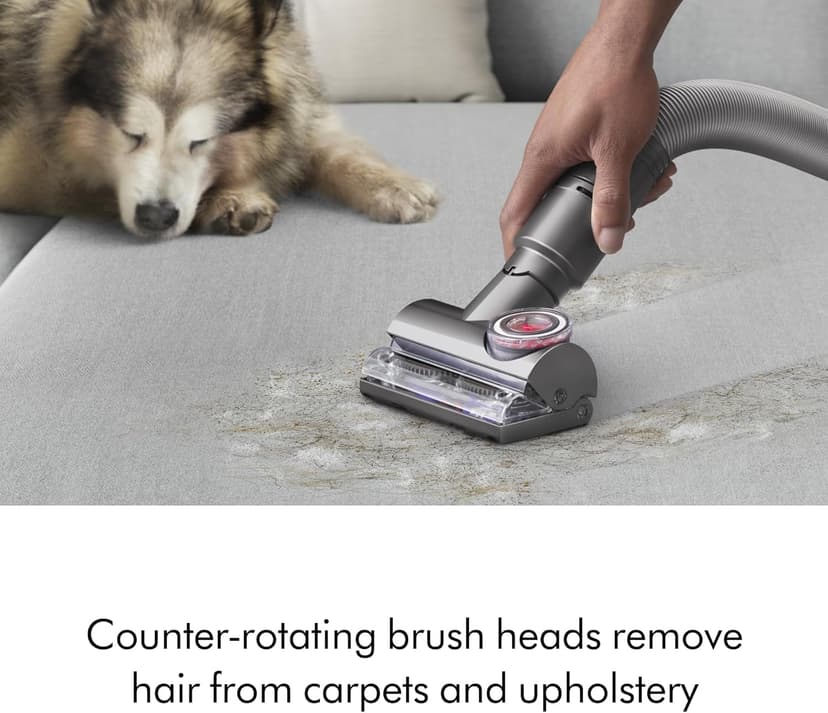 Dyson Ball Animal Total Clean Upright Vacuum, Corded, 290AW, Self-Adjusting Cleaner Head for All Floors, Homes with Pets