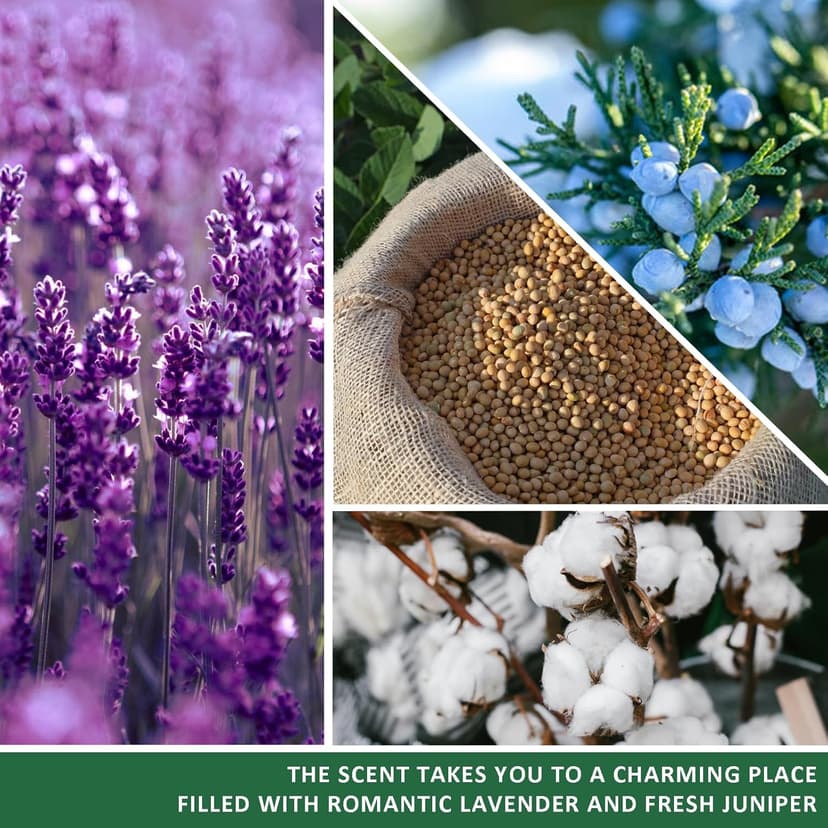 Graduation Gifts for Her/Him High School Seniors Class Of 2025 Nursing Grad Masters Degree 8th Grade College Graduation Gifts for Women Funny Congratulations Gift Candle for Sister Son Daughter Friend